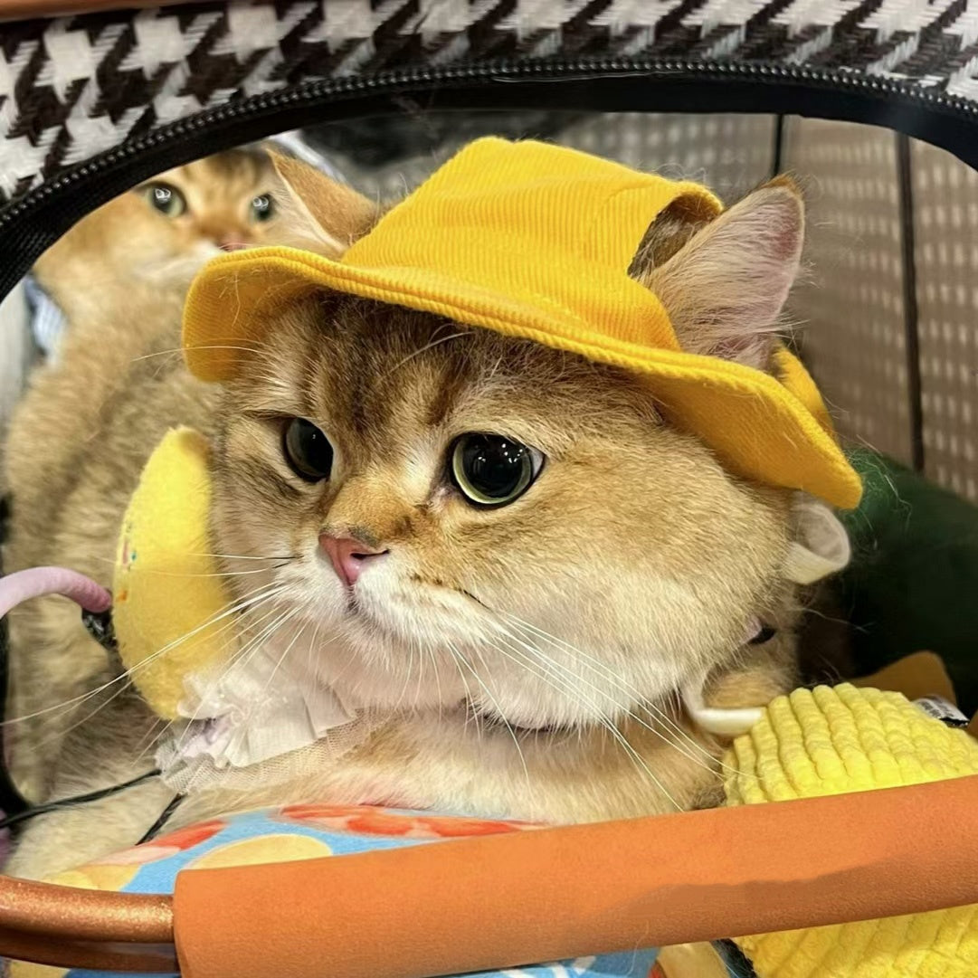 KFX-0363069 Exposed Ears Pet Bucket Hat for Cats and Dogs – Sun Protection in Various Colors