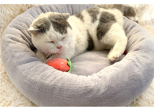KFX-0365501 Cozy Round Egg Tart Cat Nest in Multiple Colors and Sizes for Autumn and Winter
