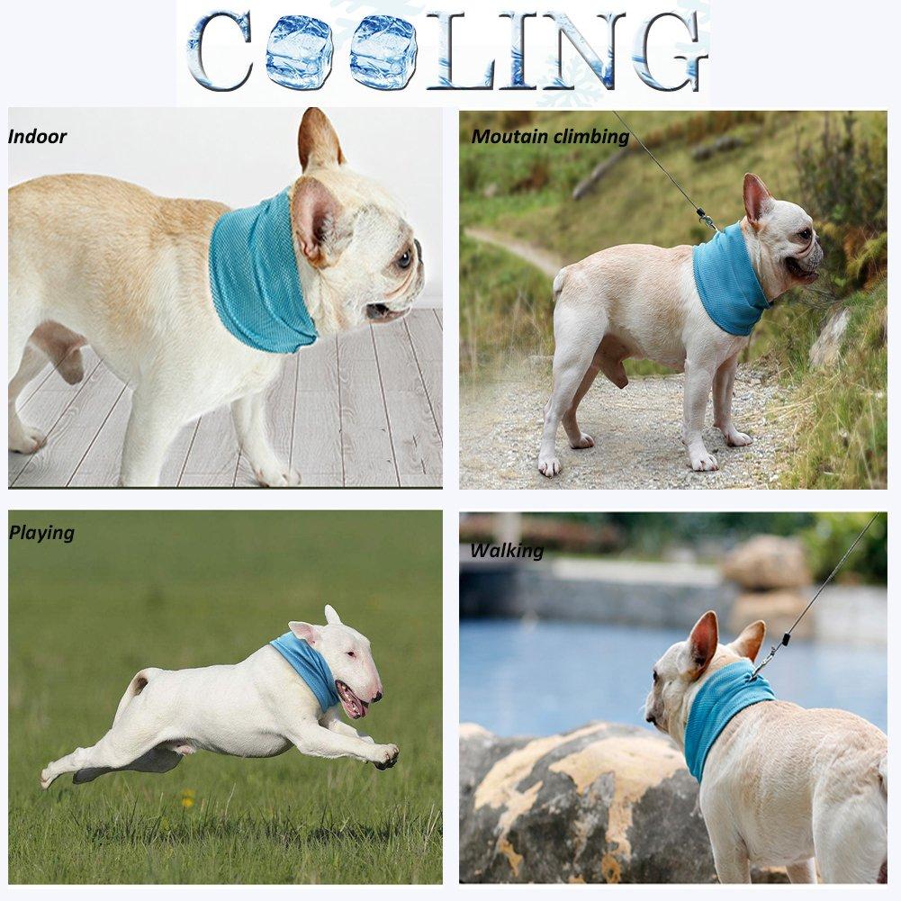 KFX-0368829 Cooling Pet Scarf with Leash Hole for Dogs and Cats - Absorbent and Lightweight Summer Accessory