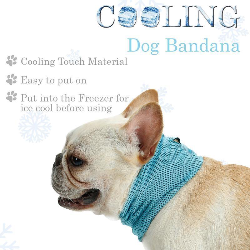 KFX-0368829 Cooling Pet Scarf with Leash Hole for Dogs and Cats - Absorbent and Lightweight Summer Accessory