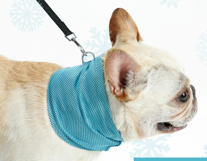 KFX-0368829 Cooling Pet Scarf with Leash Hole for Dogs and Cats - Absorbent and Lightweight Summer Accessory