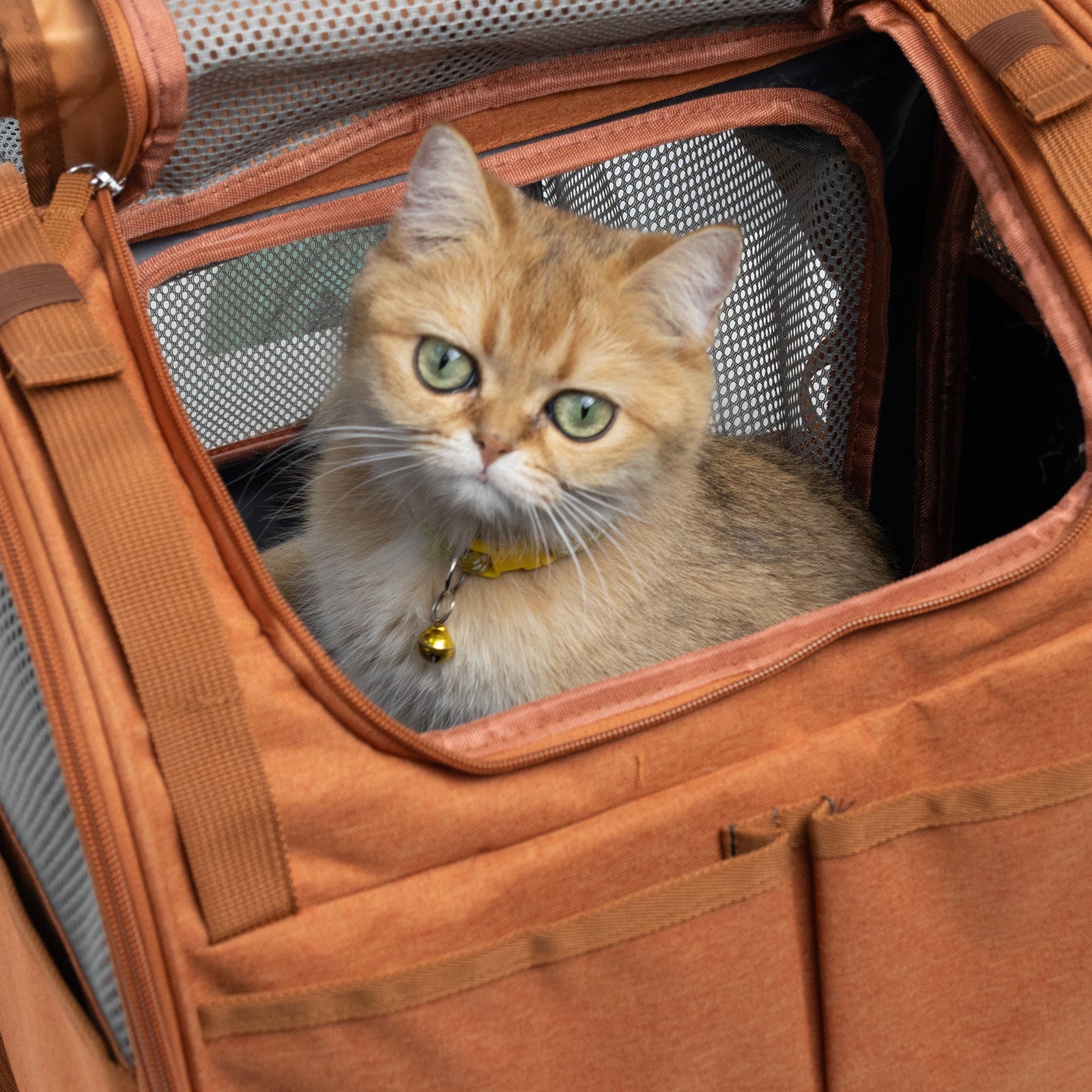 KFX-0373437 Expandable Breathable Lightweight Cat Backpack - Gray/Brown, Oxford Material, Medium Hardness, 55 Capacity