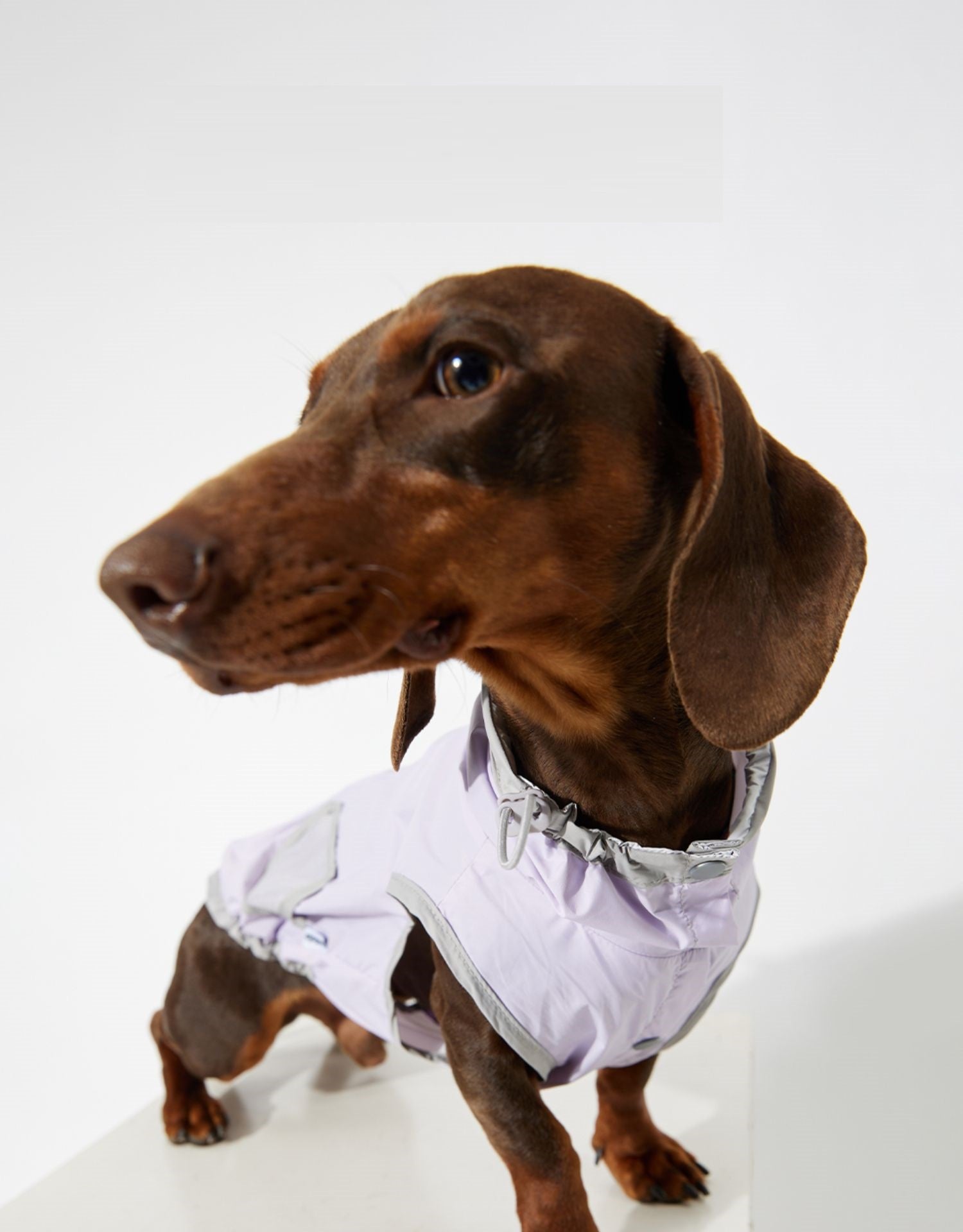 KFX-0376637 Ultra-thin Waterproof Dog Vest Raincoat - Casual Wind Shield for Pets in Purple, Yellow, and Blue