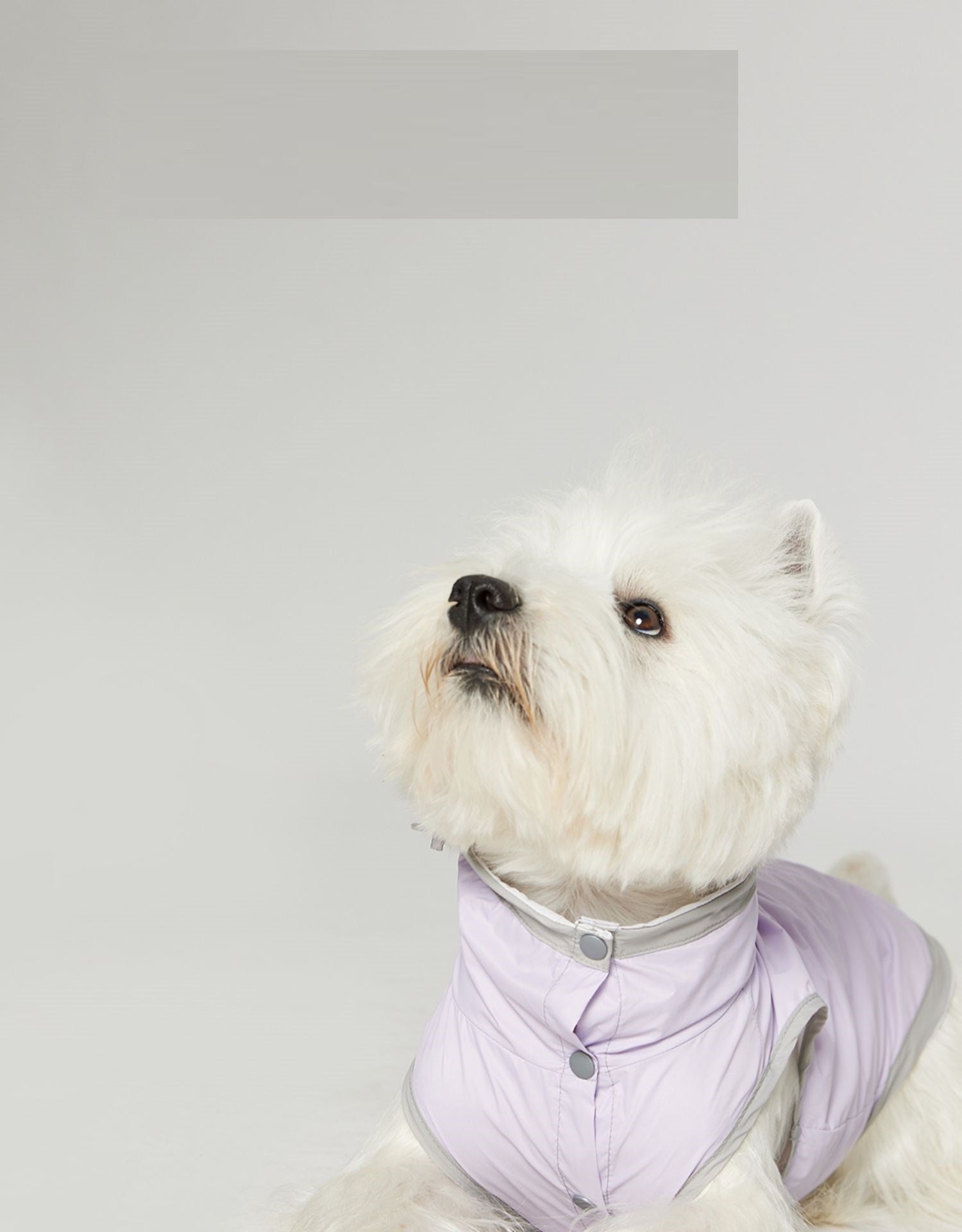 KFX-0376637 Ultra-thin Waterproof Dog Vest Raincoat - Casual Wind Shield for Pets in Purple, Yellow, and Blue