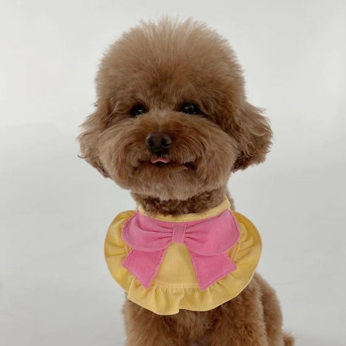 KFX-0381501 Cute Monochrome Butterfly Dog Bib in Yellow and Blue – Casual Polyester Design Available in S, M, L Sizes