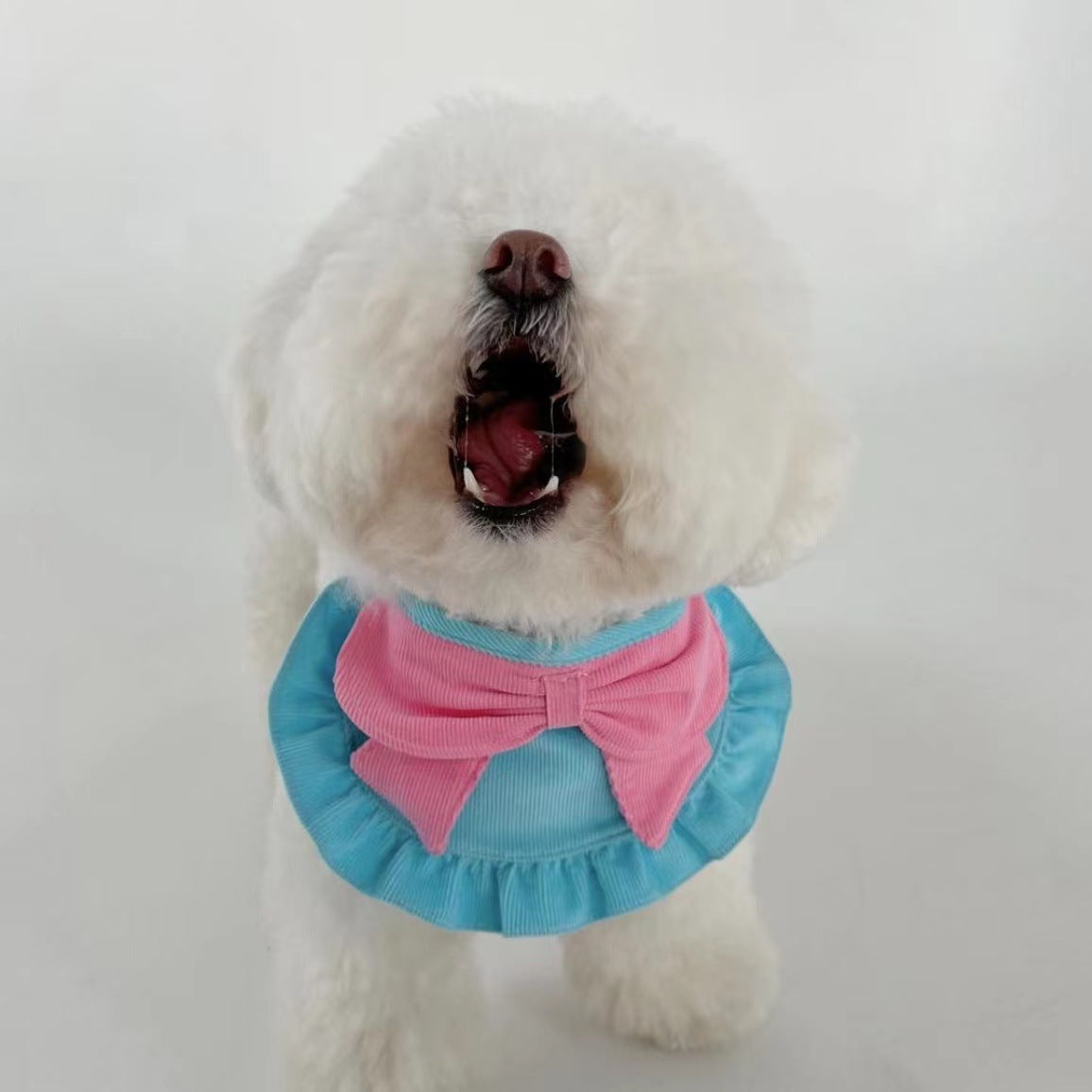 KFX-0381501 Cute Monochrome Butterfly Dog Bib in Yellow and Blue – Casual Polyester Design Available in S, M, L Sizes