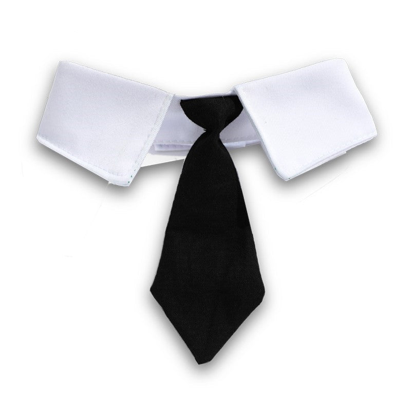 KFX-0384957 Gentleman Cat Beret and Tie Set for Stylish Adult Cats