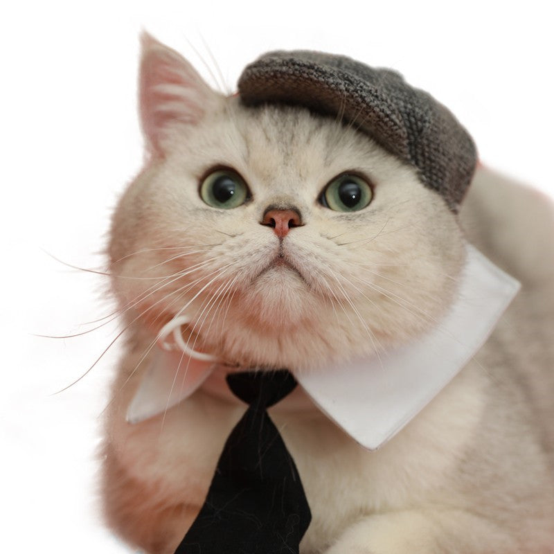 KFX-0384957 Gentleman Cat Beret and Tie Set for Stylish Adult Cats