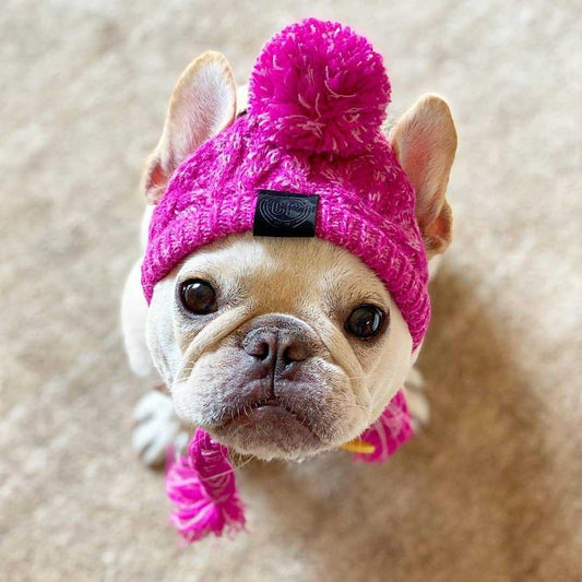 KFX-0387517 Warm and Windproof Fluffy Dog Knitting Hat - Acrylic Fashion Style in Pink and Gray