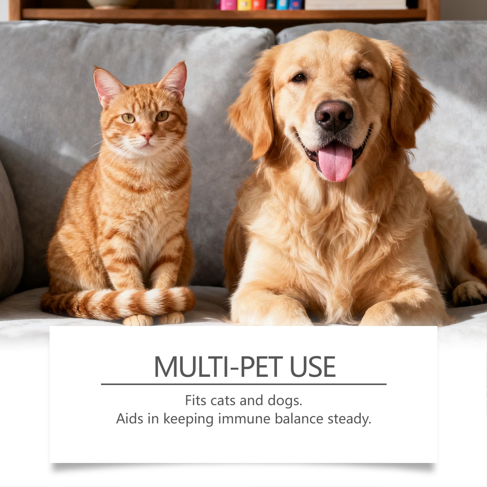 KFX-0388541 Urinary Care Soothing Drops for Cats and Dogs with Cranberry & Pumpkin Seed Extract