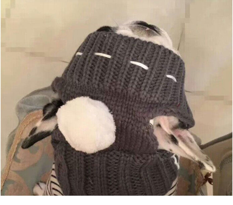 KFX-0394813 Casual Acrylic Dog Hat for All Seasons - One Size Fits Most