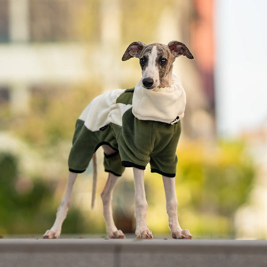 KFX-0395837 Warm Detachable Windproof Pet Apparel with Collar for All Sizes
