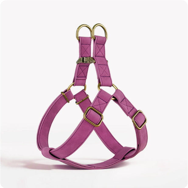 KFX-0397501 Leather Vest-style Harness for Small and Medium Dogs - Adjustable Fit, Multiple Colors Available