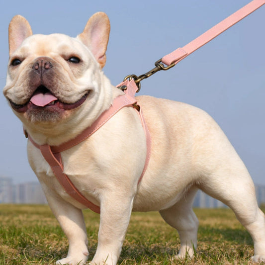 KFX-0397501 Leather Vest-style Harness for Small and Medium Dogs - Adjustable Fit, Multiple Colors Available