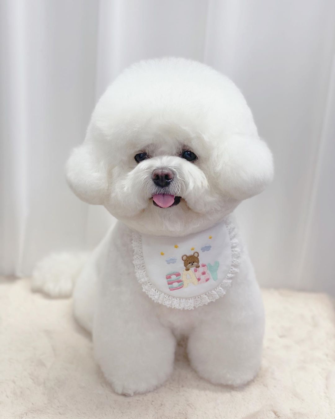 KFX-0401597 Cute Bear Embroidery Cotton Saliva Towel Small Bib - White