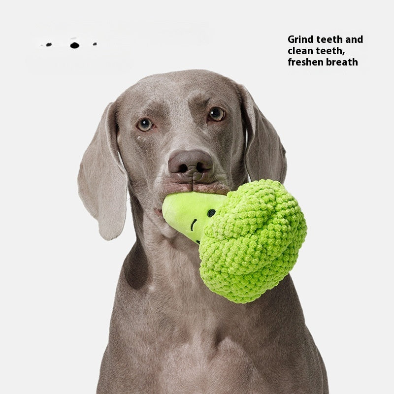 KFX-0402621 Dog Molar Teeth Cleaning Broccoli Plush Toy - Sound Interactive Pet Chew Toy