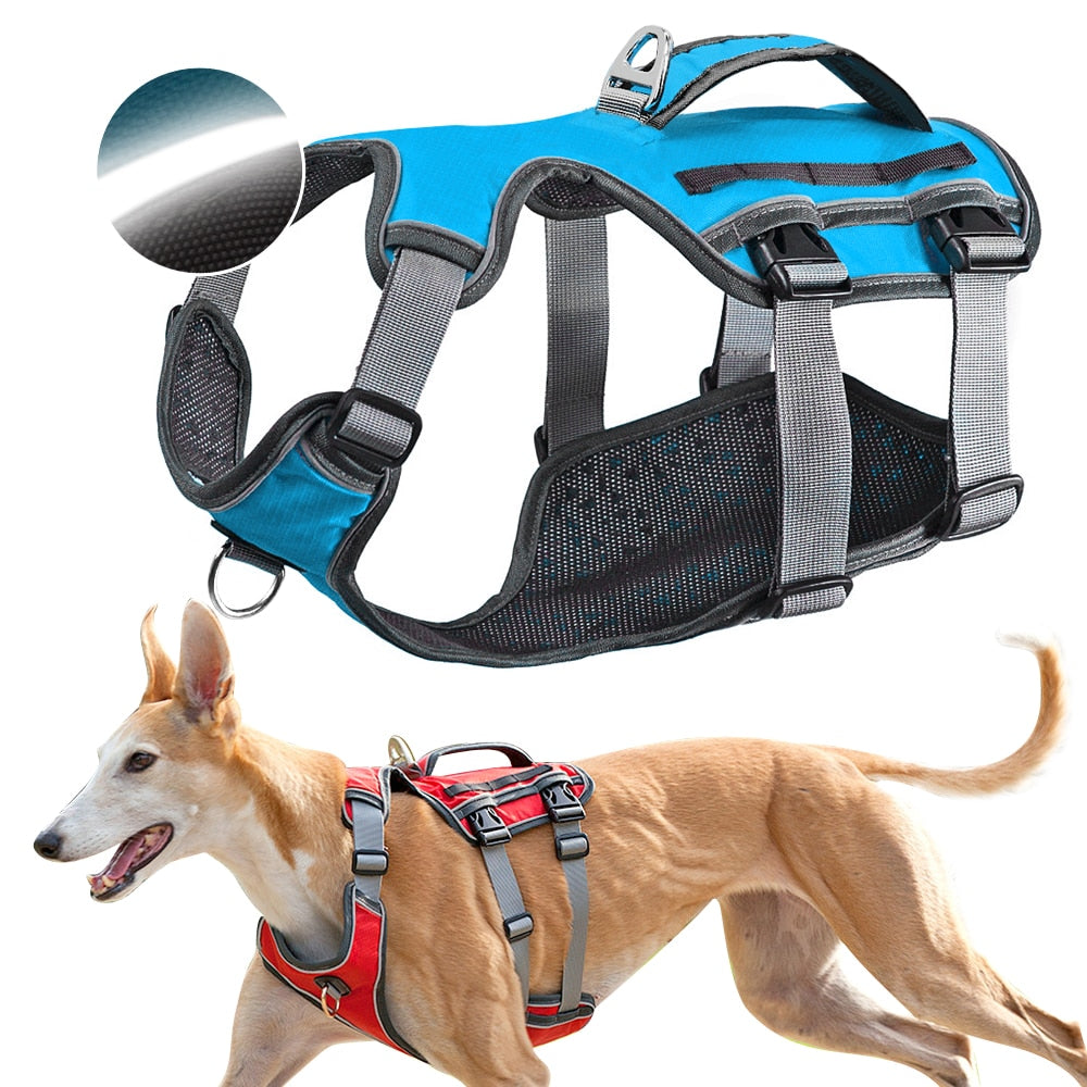 KFX-0414781 Water-Repellent Polyester Thoracolumbar Support Band for Dogs