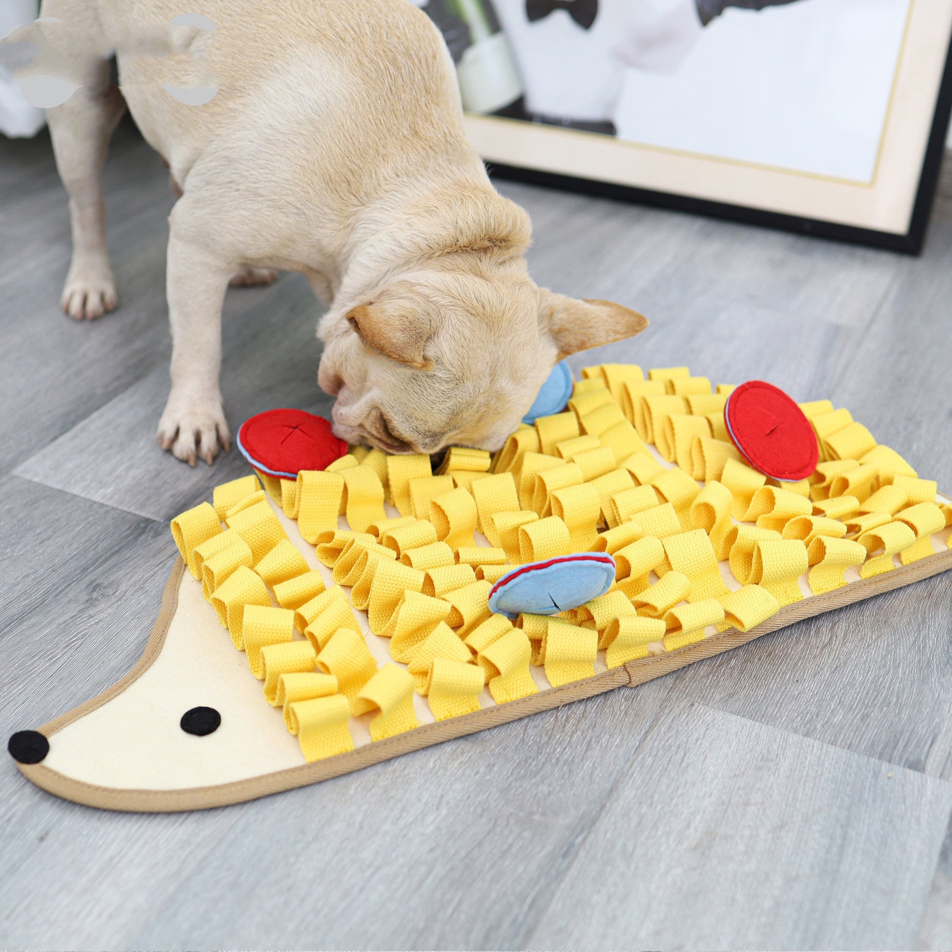 KFX-0417341 Little Hedgehog Dog Sniff Pad Training Blanket - Slow Food Puzzle Mat for Pet Decompression