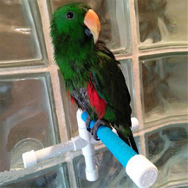 KFX-0423101 Foldable Shower Stand for Medium to Large Birds with Suction Cups, Ideal for Bathing and Feather Maintenance