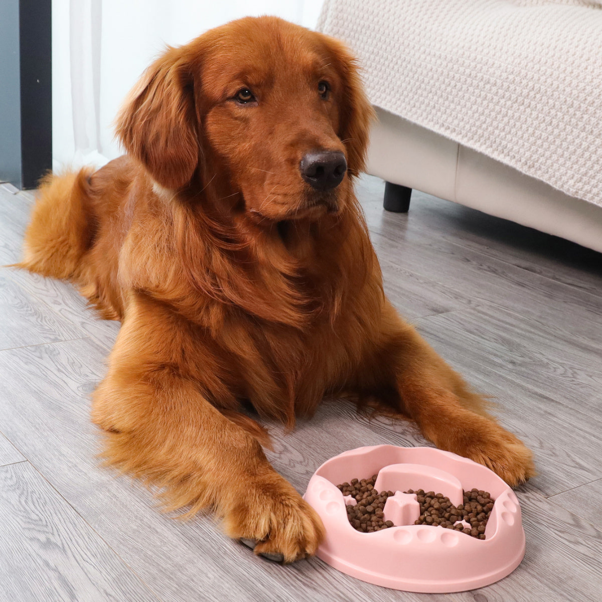KFX-0428477 Large Capacity Moon Star Wings Slow Feed Dog Bowl for Water and Food