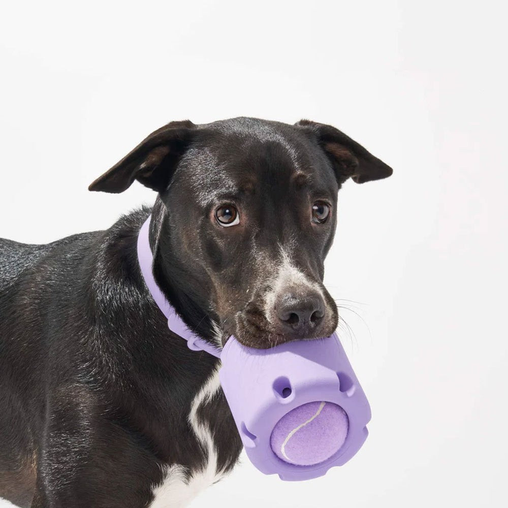 KFX-0431805 Natural Rubber Dog Tennis Cup - Bite-Resistant Pet Toy in Multiple Colors