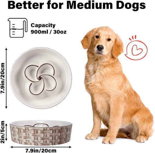 KFX-0432957 Ceramic Non-Slip Slow Feeder Bowl for Medium to Large Dogs