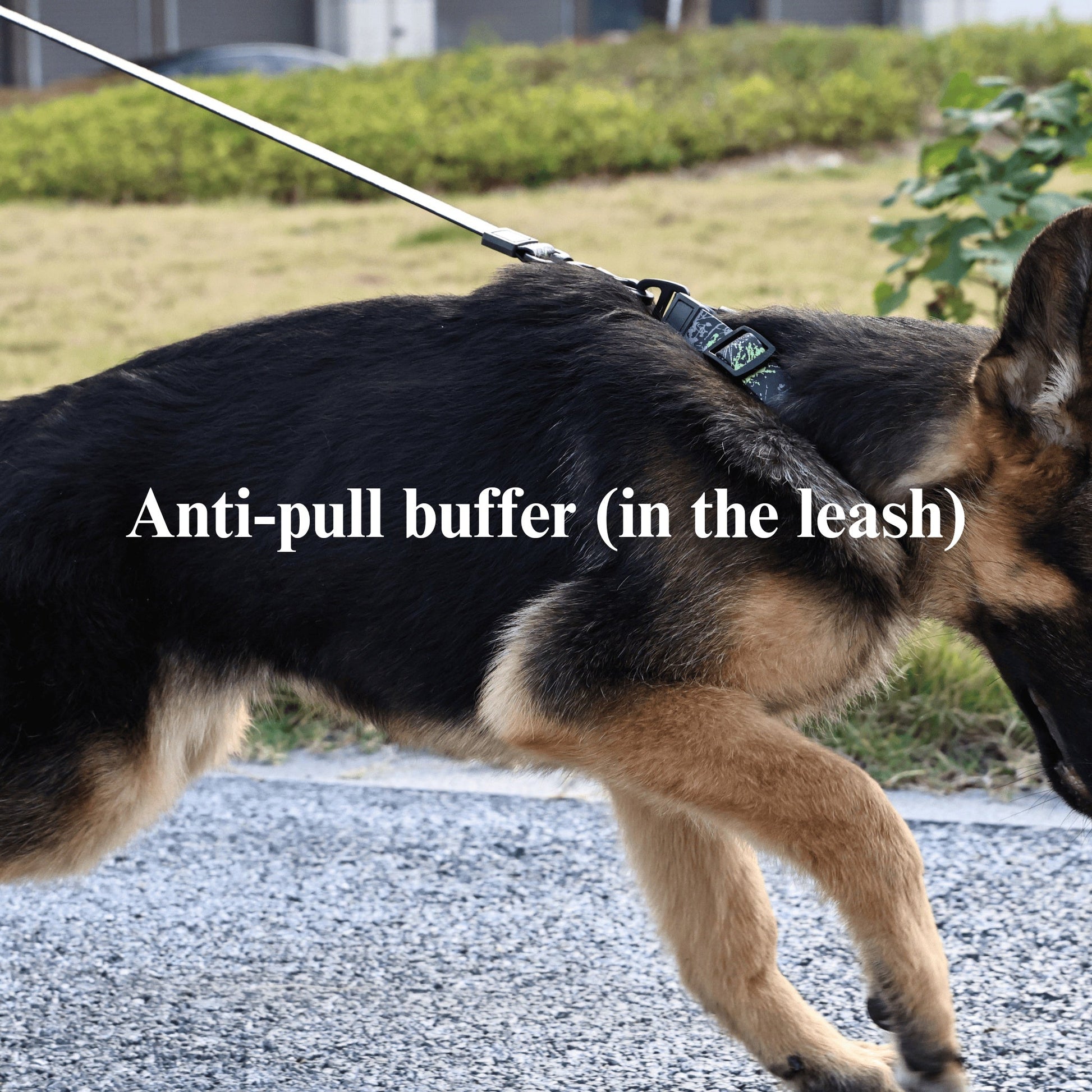 KFX-0436541 Camouflage Embossed Pet Leash Set with Durable Waterproof Material for Outdoor Activities