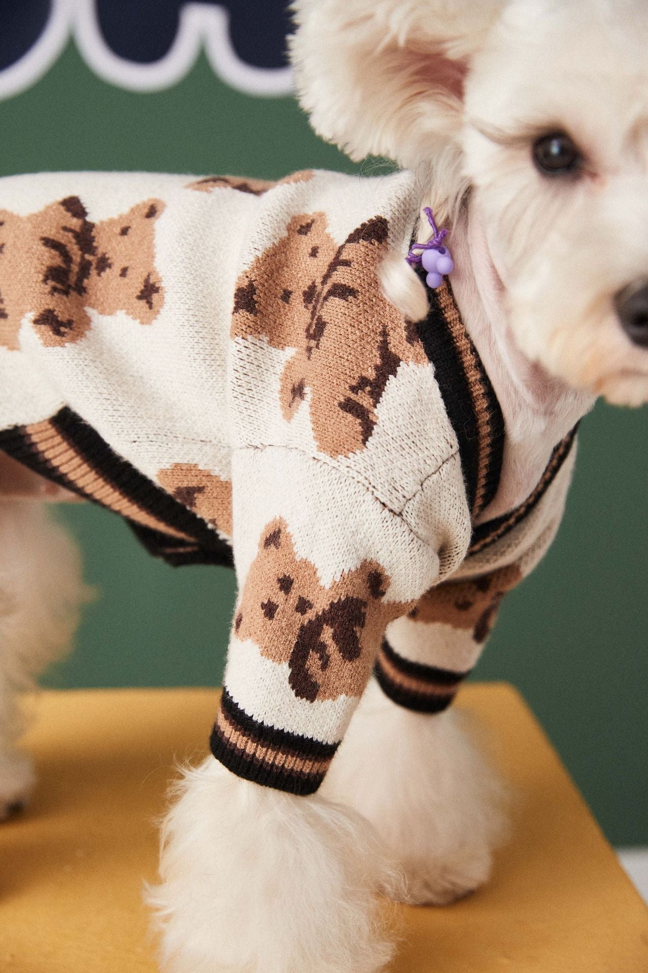 KFX-0440509 Preppy V-Neck Striped Pet Sweater for Dogs and Cats - Winter Warm Apparel with Leash Hole