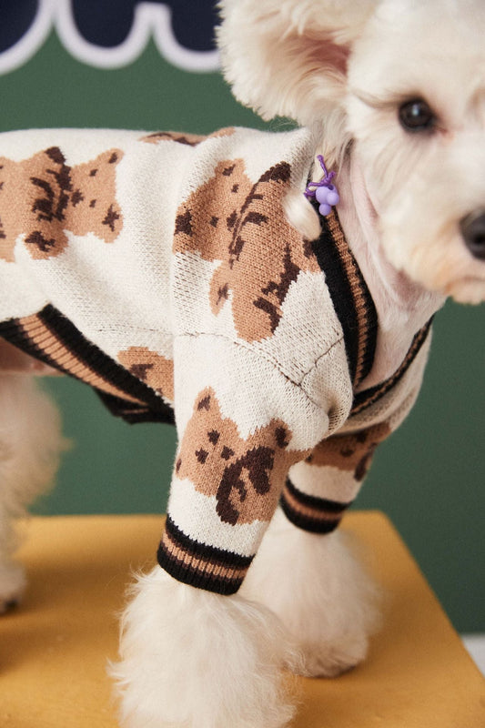 KFX-0440509 Preppy V-Neck Striped Pet Sweater for Dogs and Cats - Winter Warm Apparel with Leash Hole