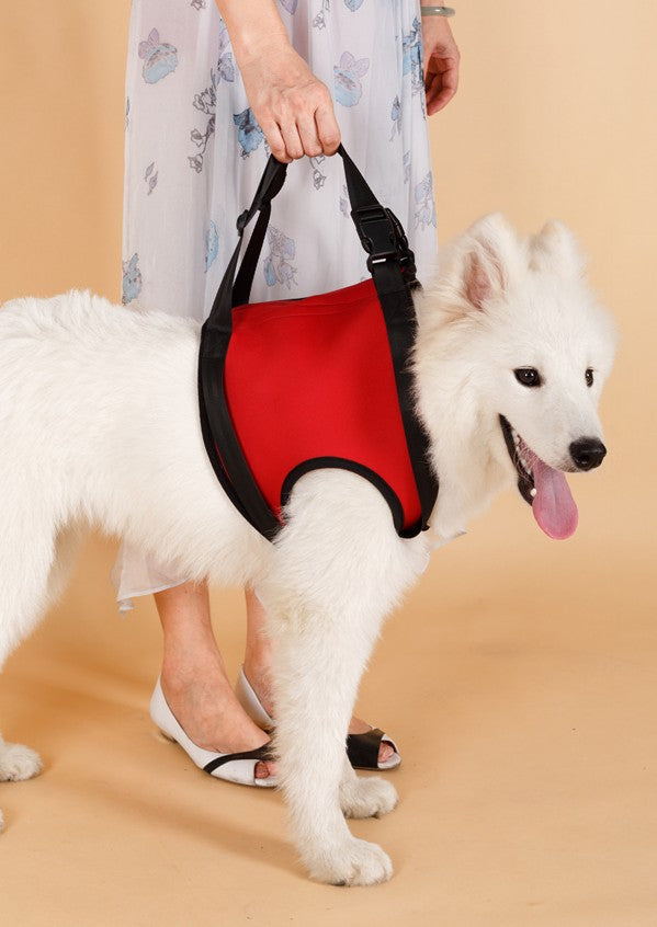 KFX-0441789 Elderly Dog Hind Leg Assist Belt - High-Grade Diving Material Support Belt in Multiple Colors