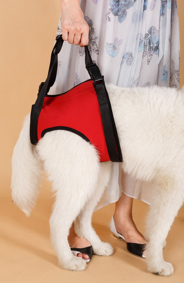 KFX-0441789 Elderly Dog Hind Leg Assist Belt - High-Grade Diving Material Support Belt in Multiple Colors