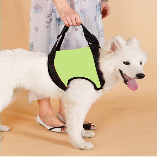 KFX-0441789 Elderly Dog Hind Leg Assist Belt - High-Grade Diving Material Support Belt in Multiple Colors