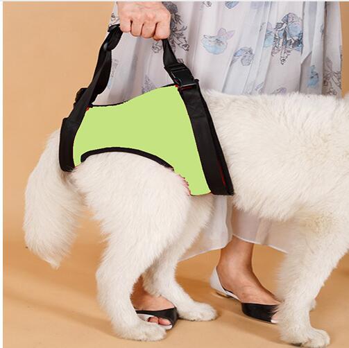 KFX-0441789 Elderly Dog Hind Leg Assist Belt - High-Grade Diving Material Support Belt in Multiple Colors