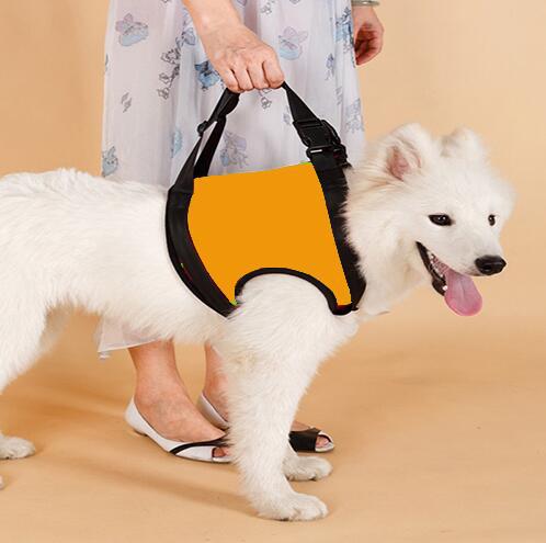 KFX-0441789 Elderly Dog Hind Leg Assist Belt - High-Grade Diving Material Support Belt in Multiple Colors