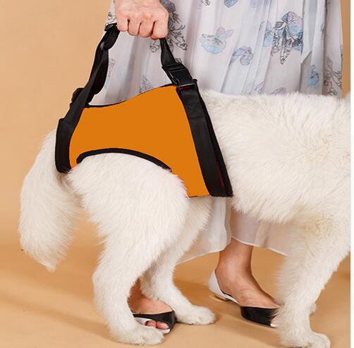 KFX-0441789 Elderly Dog Hind Leg Assist Belt - High-Grade Diving Material Support Belt in Multiple Colors