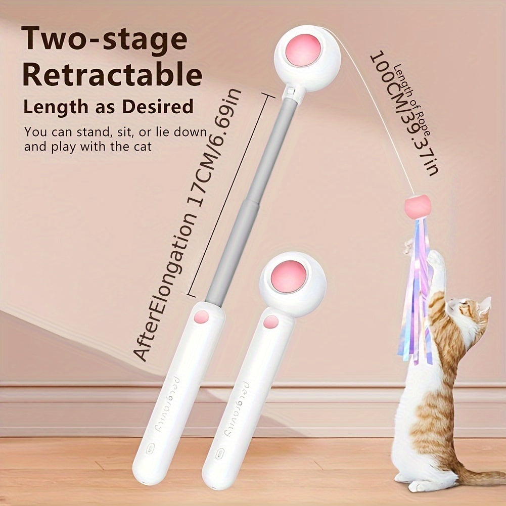 KFX-0445757 Retractable Cat Teaser Wand with Replaceable Feather and Tassel Heads for Indoor Play