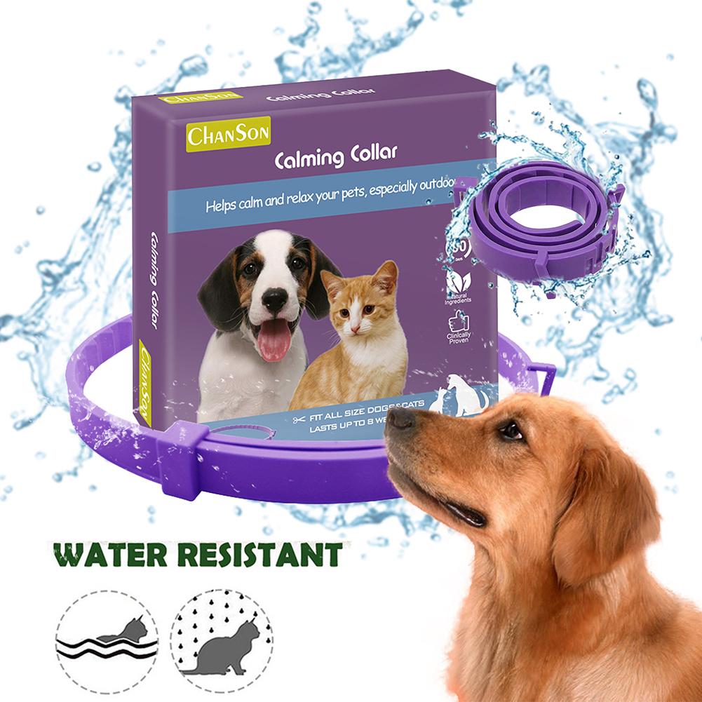 KFX-0450237 Adjustable Stress Relief Dog and Cat Comfort Collar, 62cm and 38cm Options
