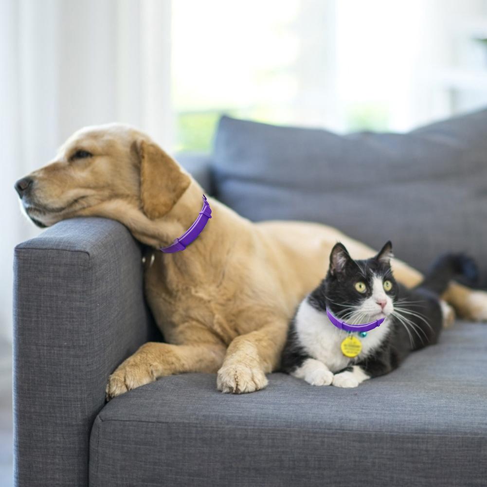 KFX-0450237 Adjustable Stress Relief Dog and Cat Comfort Collar, 62cm and 38cm Options