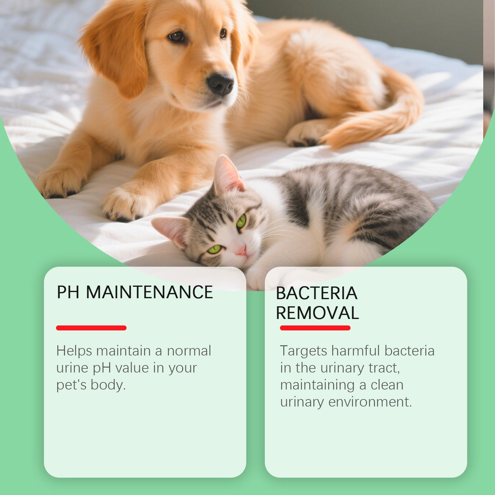 KFX-0454077 Urinary Health Support Drops for Cats and Dogs
