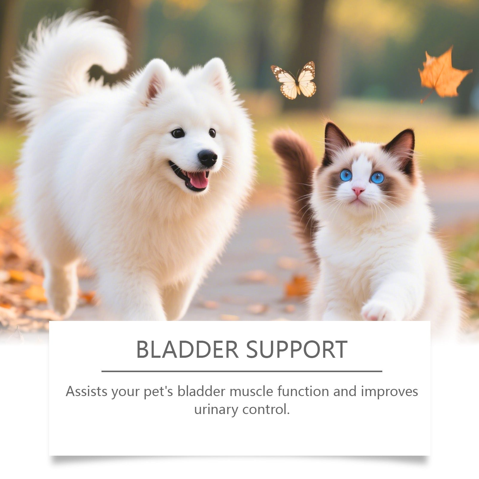 KFX-0454077 Urinary Health Support Drops for Cats and Dogs