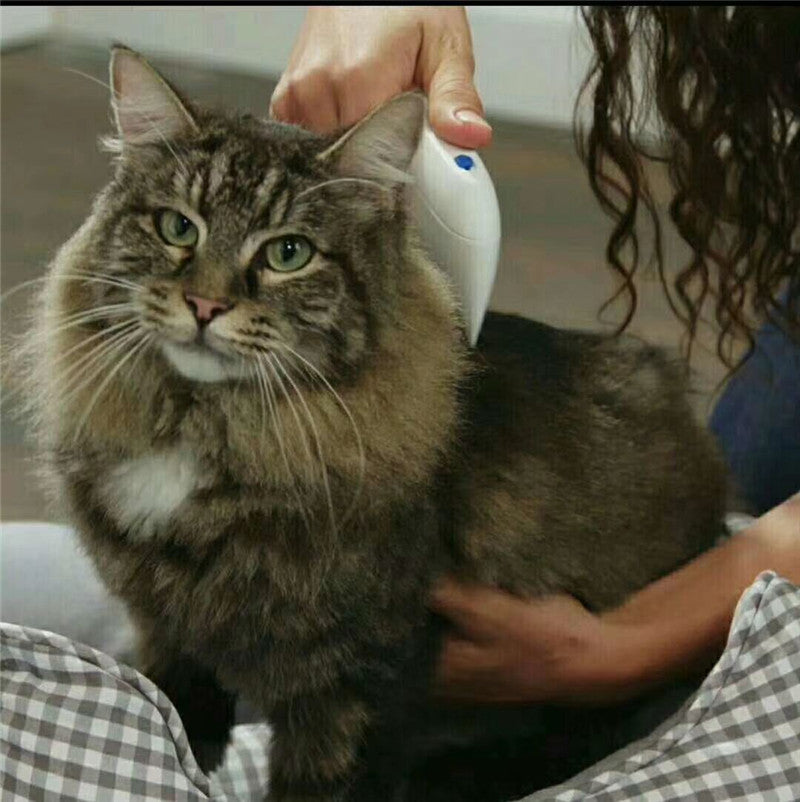 KFX-0465341 Micro-Electric Flea and Lice Remover for Cats and Dogs - Safe and Effective Pet Comb