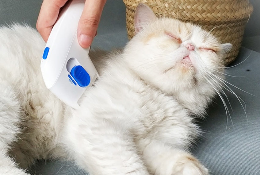 KFX-0465341 Micro-Electric Flea and Lice Remover for Cats and Dogs - Safe and Effective Pet Comb