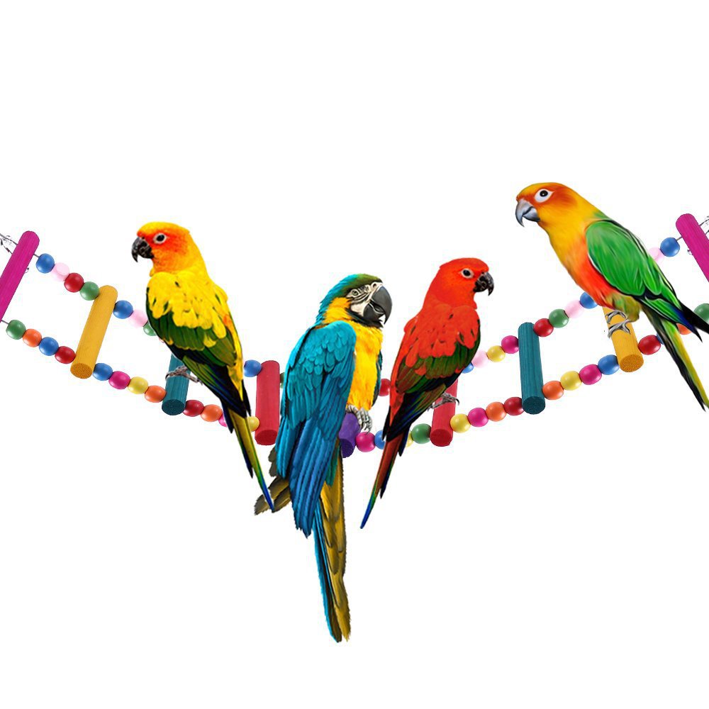 KFX-0467005 Colorful Wooden Bead Ladder Toy for Birds - 25cm to 49cm Length Options
