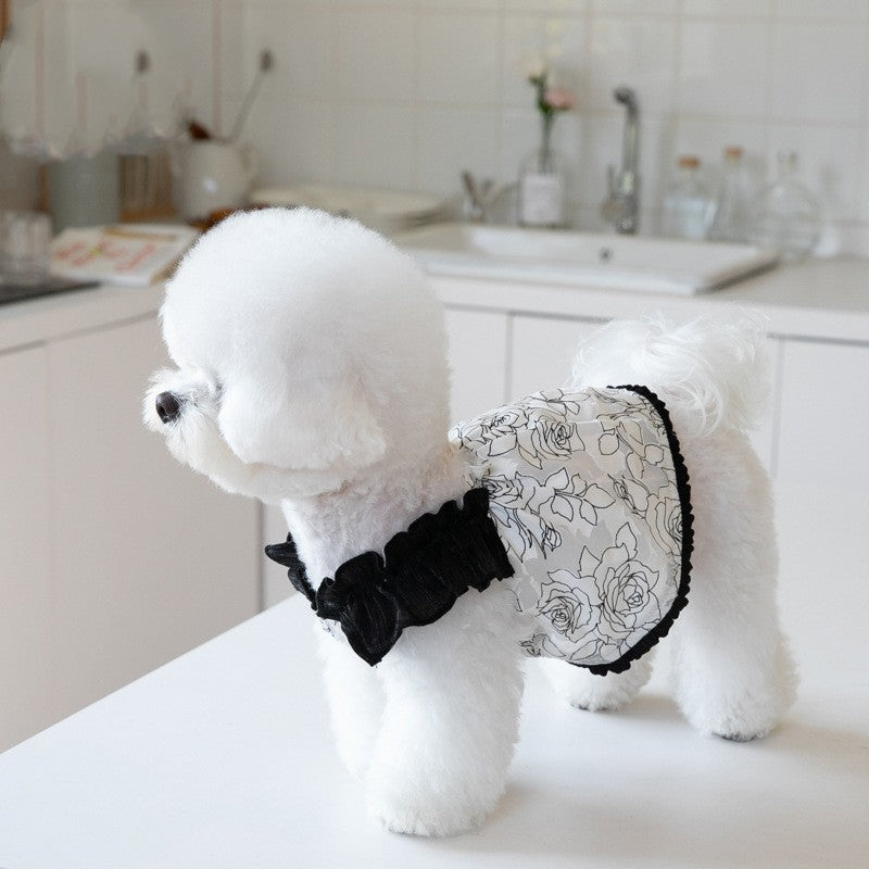 KFX-0467901 Chiffon Pet Skirt in Black – Sizes XXS to 3XL