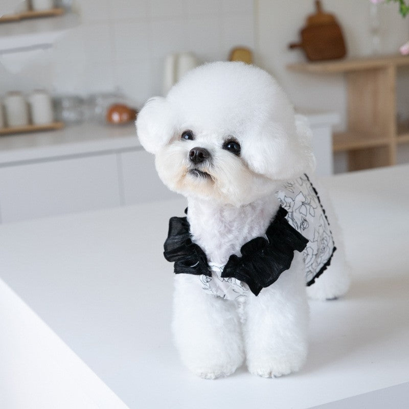 KFX-0467901 Chiffon Pet Skirt in Black – Sizes XXS to 3XL
