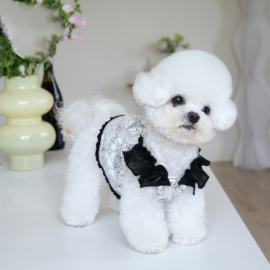 KFX-0467901 Chiffon Pet Skirt in Black – Sizes XXS to 3XL