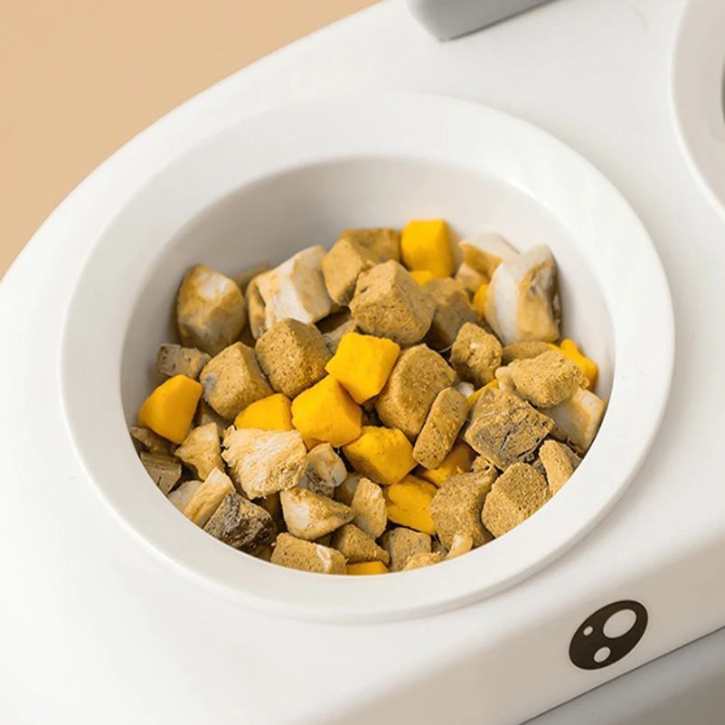 KFX-0469693 Duck Design Pet Double Bowl Tray for Cats and Dogs - Plastic Food and Water Feeder