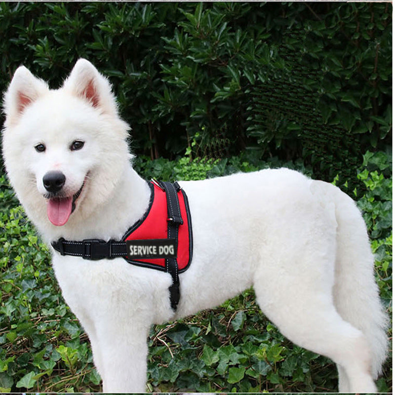 KFX-0474557 Adjustable Chest Strap for Dogs - Cloth Material, Available in Blue, Black, Red, Purple, Sizes S to XL