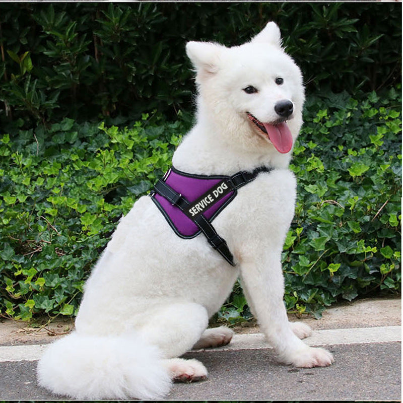 KFX-0474557 Adjustable Chest Strap for Dogs - Cloth Material, Available in Blue, Black, Red, Purple, Sizes S to XL