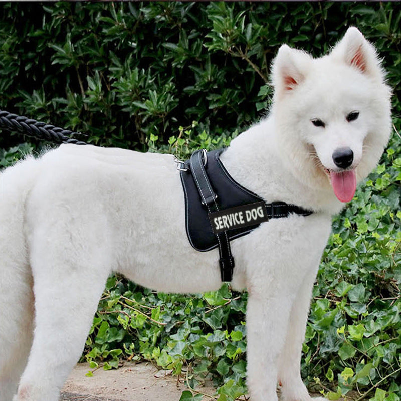KFX-0474557 Adjustable Chest Strap for Dogs - Cloth Material, Available in Blue, Black, Red, Purple, Sizes S to XL